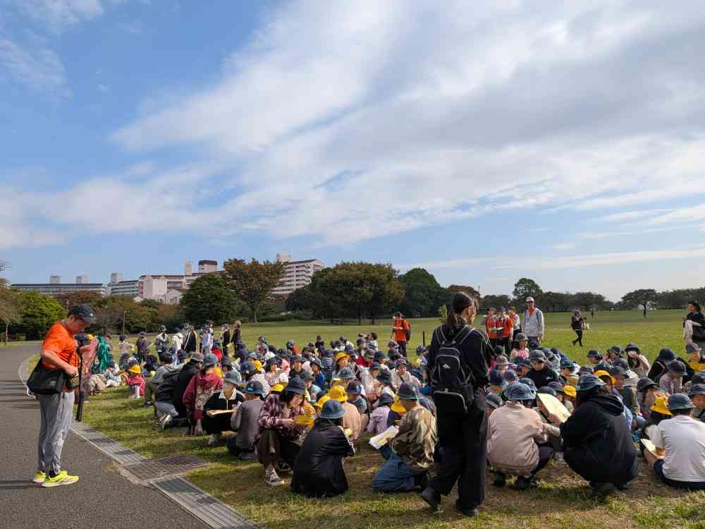 PXL_20251030_003329264.MP