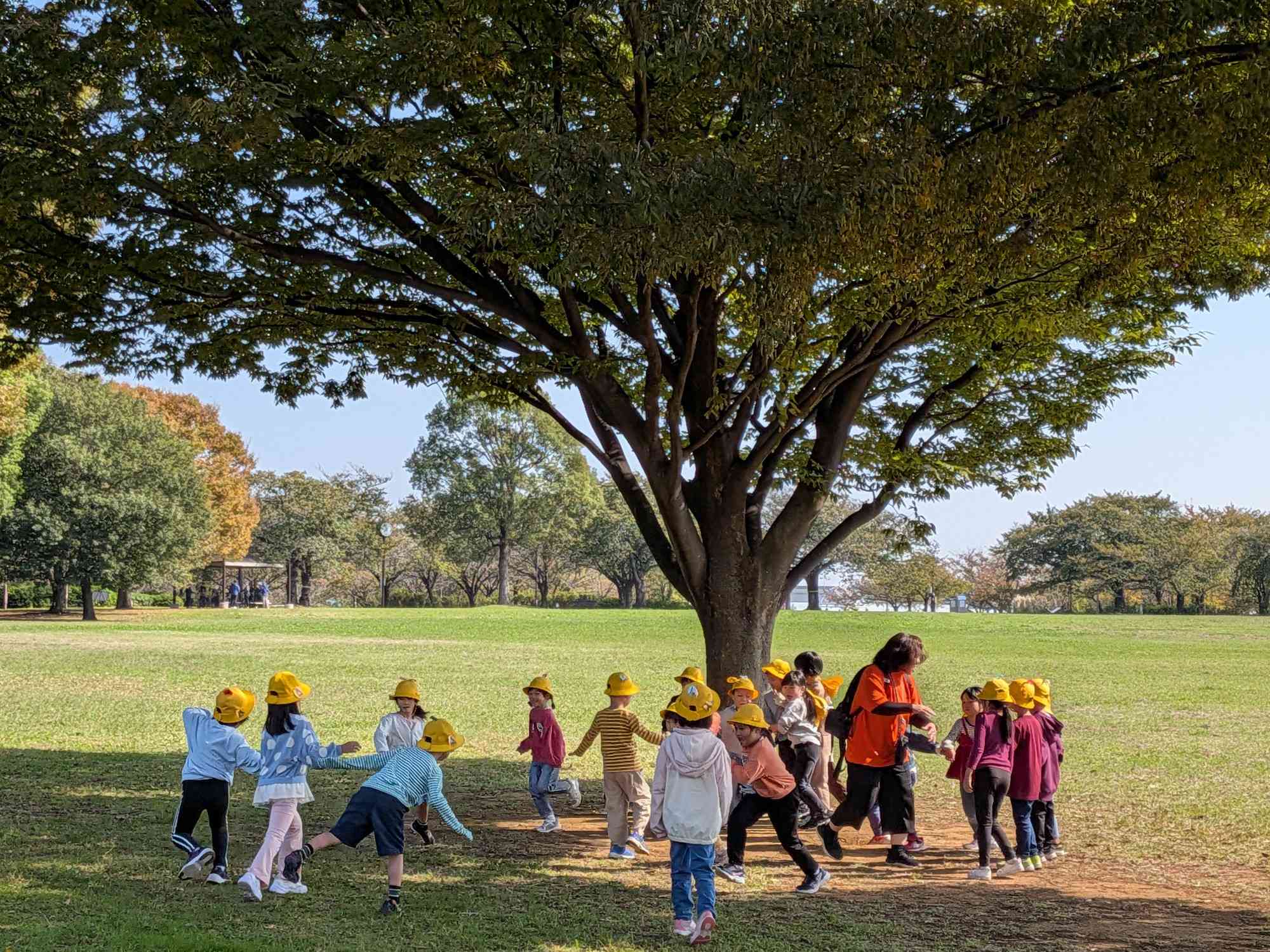 PXL_20251030_024114215