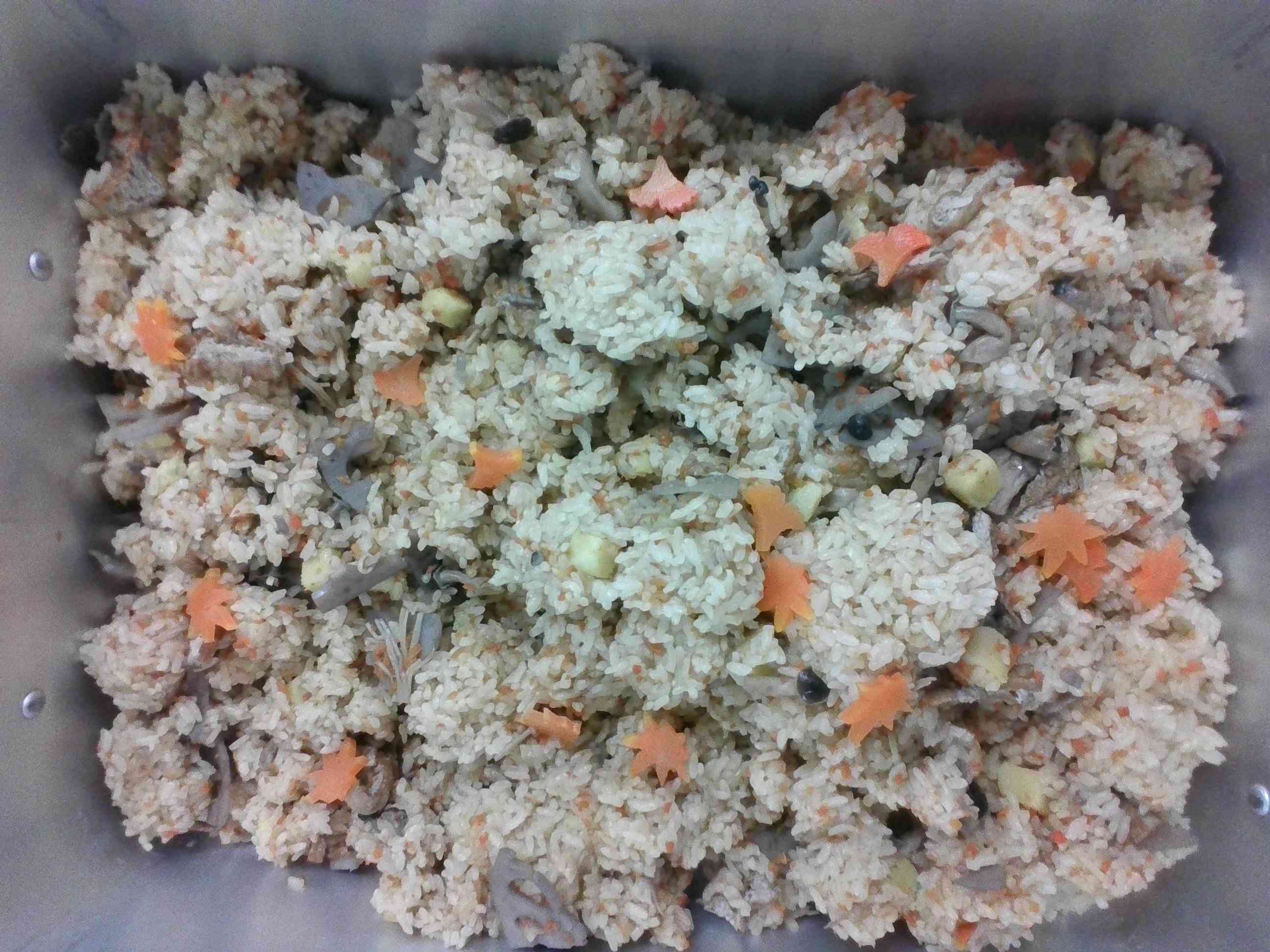 11月吹き寄せごはん①[1]