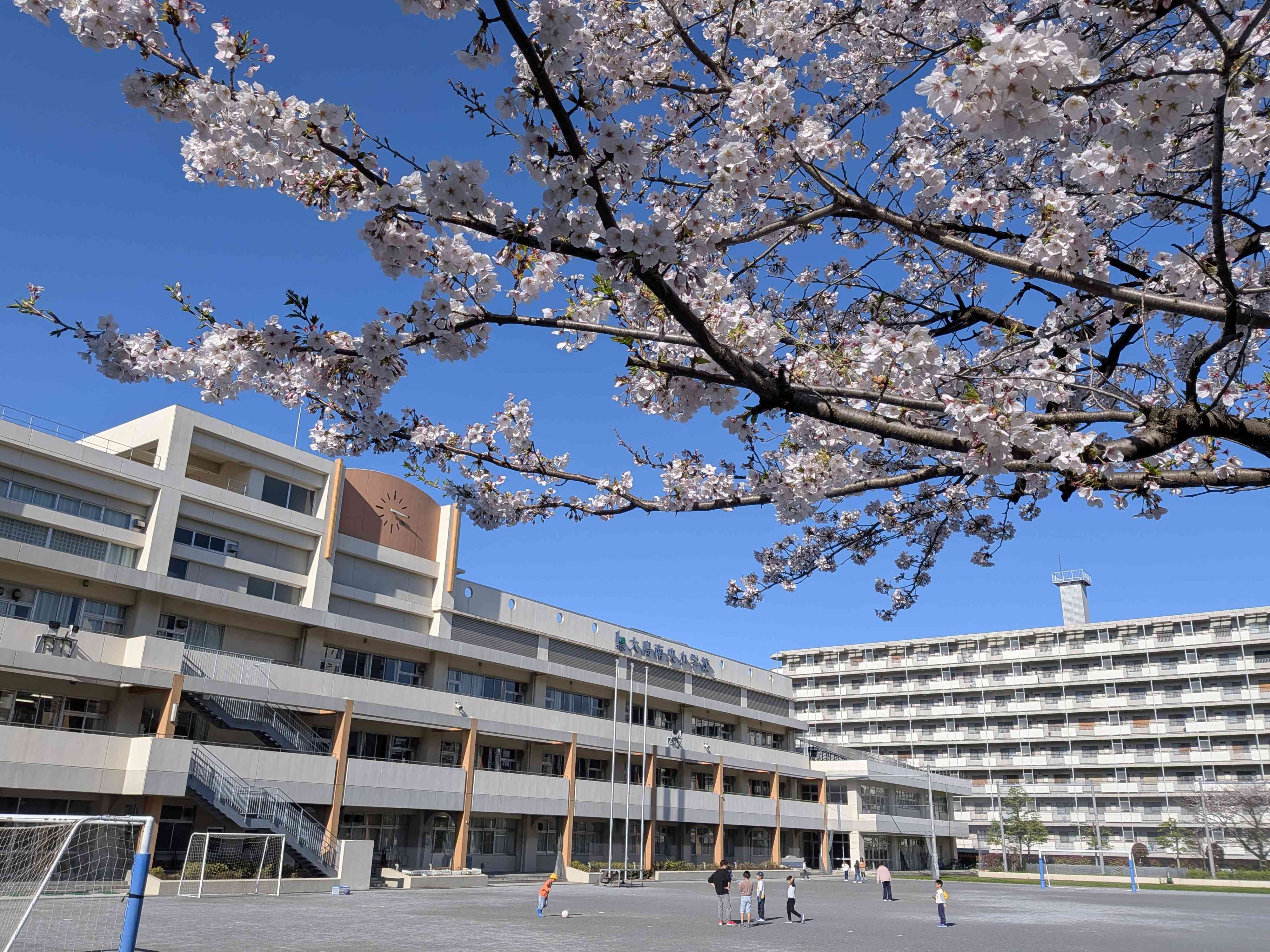 PXL_20260402_061409920